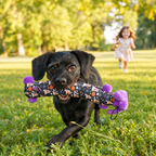 Halloween Smiling Dog Toy 2 Pack