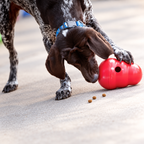 Wobble Treat Dispenser Dog Toy