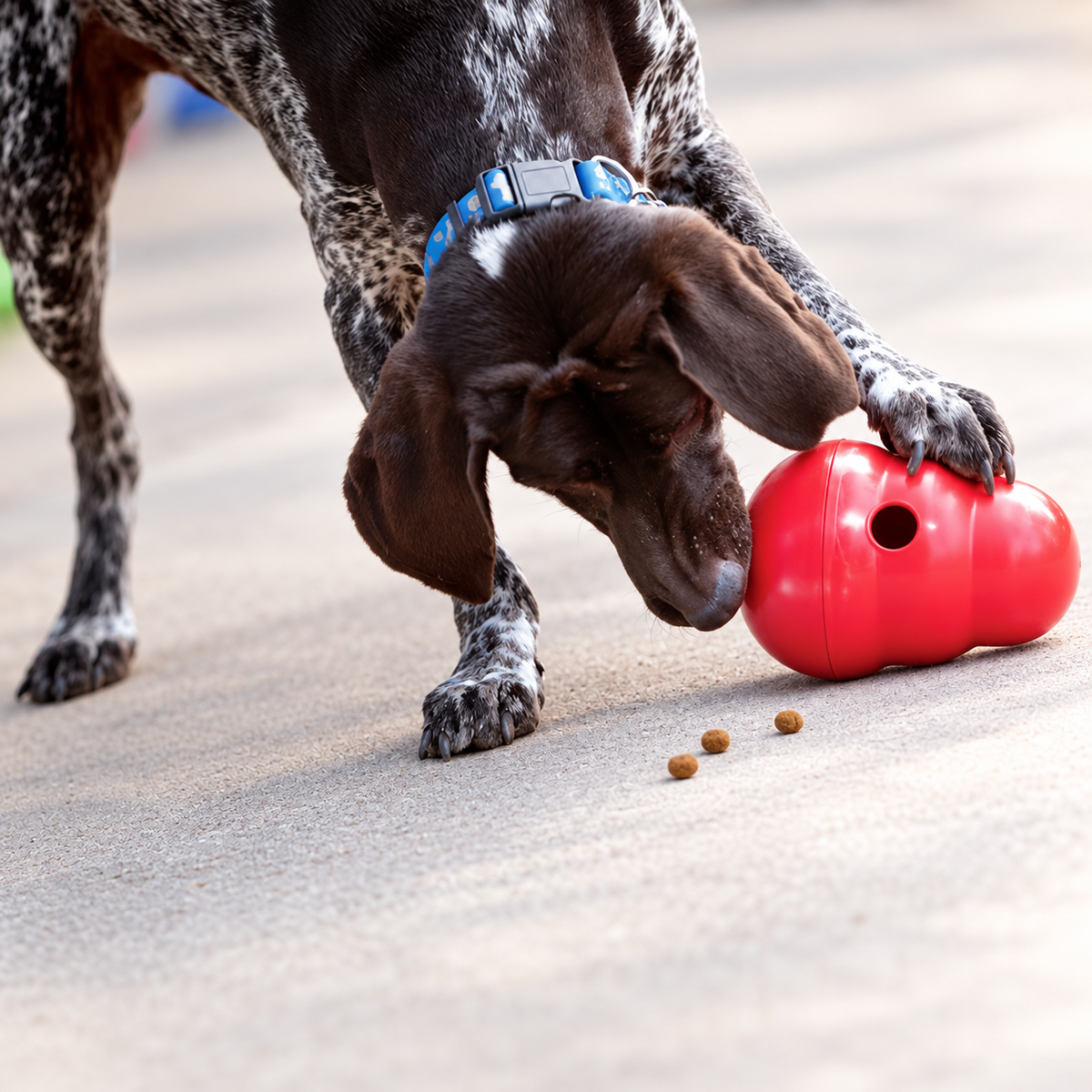 Wobble Treat Dispenser Dog Toy