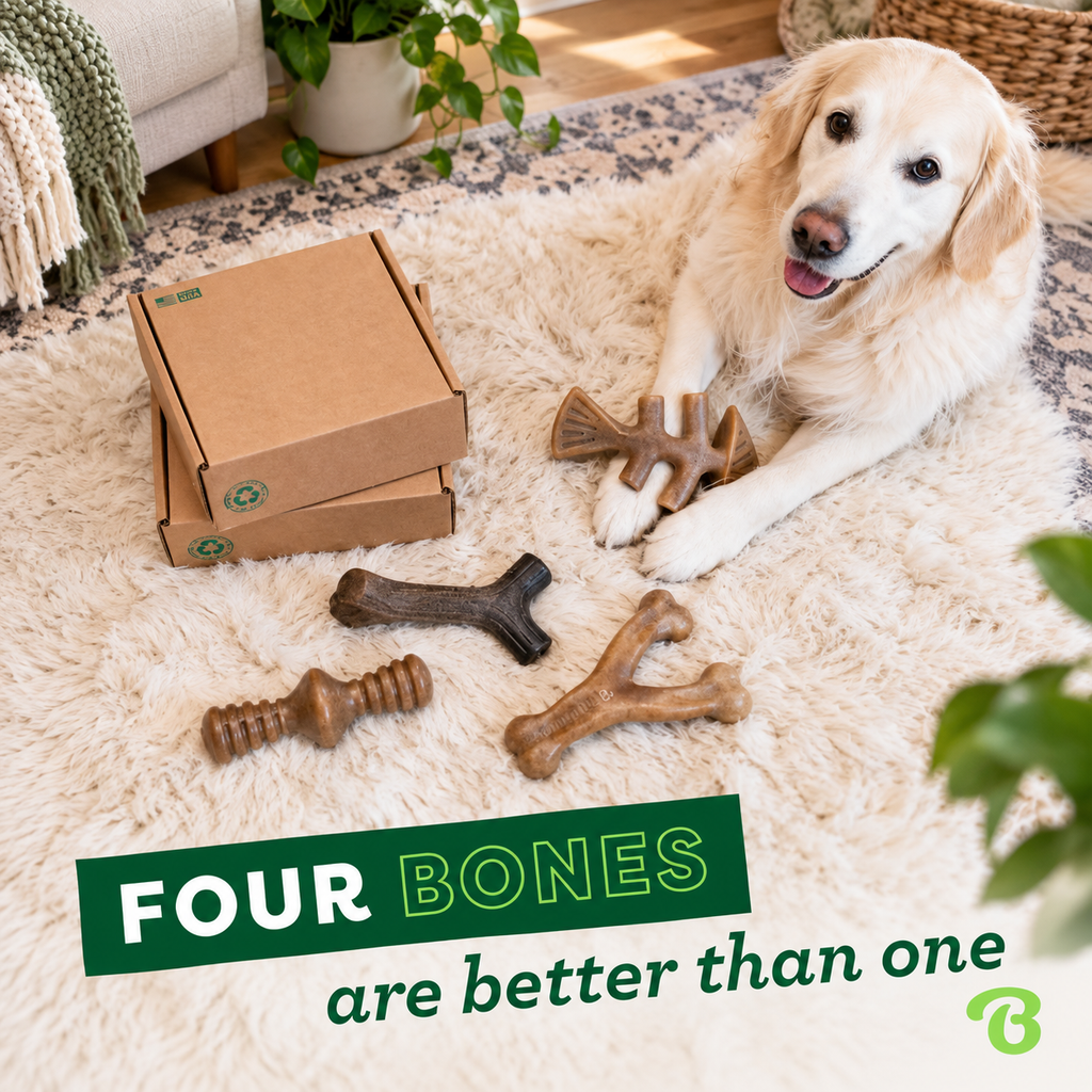 Durable Dog Chew Toys 4 Pack