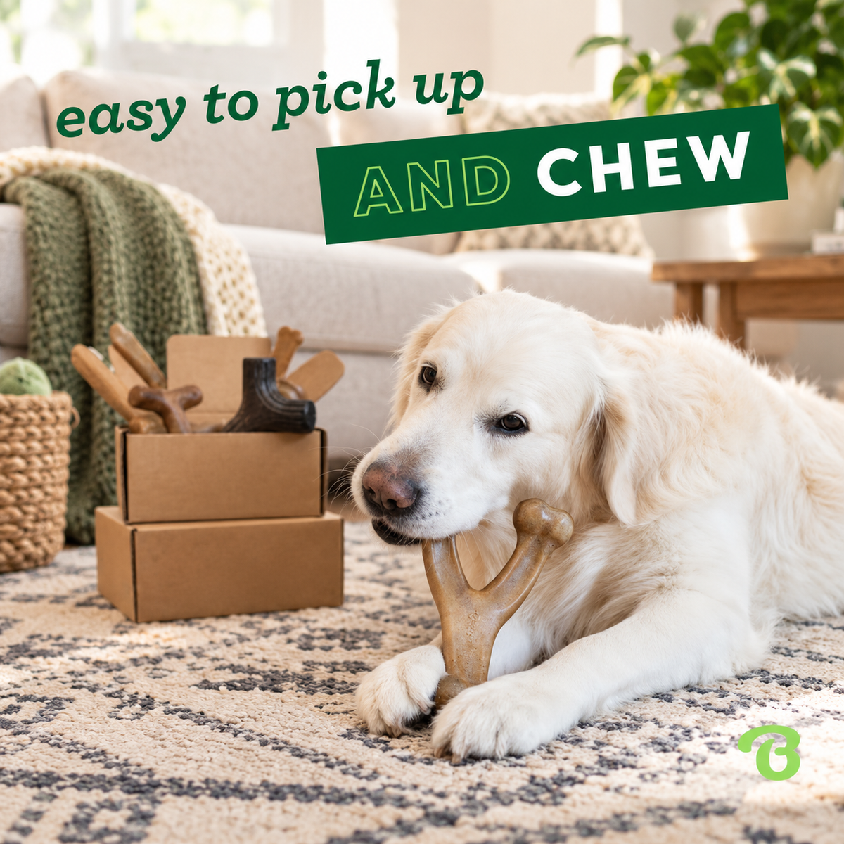 Durable Dog Chew Toys 4 Pack