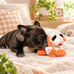 Pupkin Spice Lamb Plush Dog Toy