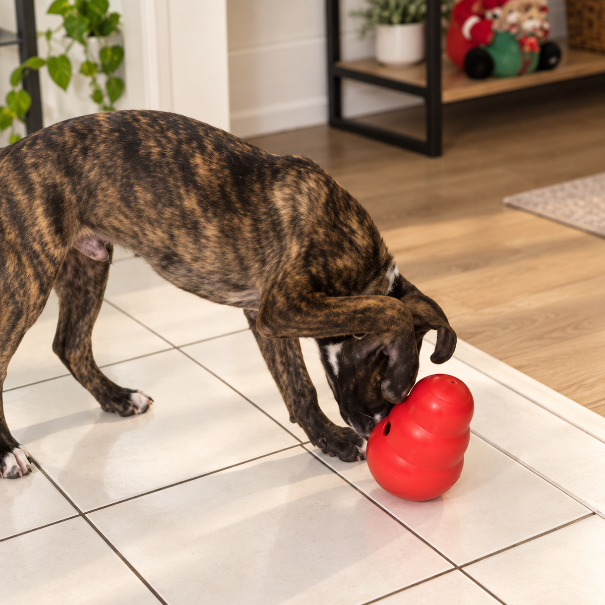 Wobble Treat Dispenser Dog Toy